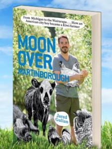 book_moonovermartinborough