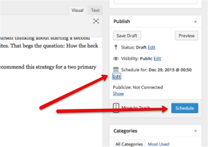 wordpress schedule option