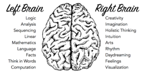 use your whole brain when you blog