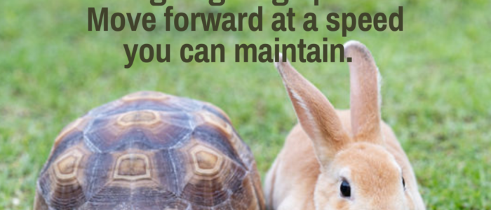 Slow down the pace as you work to achieve your blogging dreams